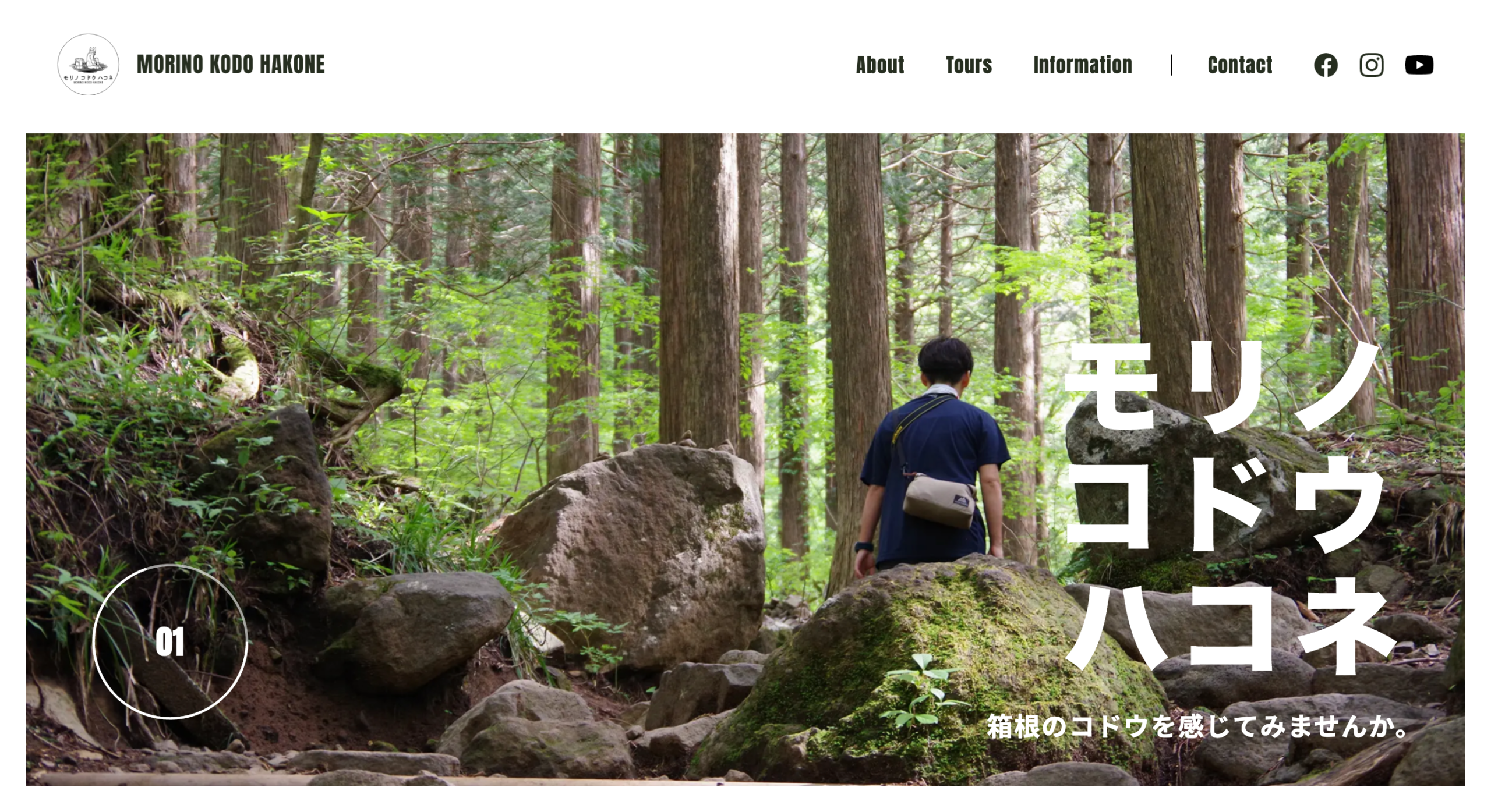 モリノコドウハコネ